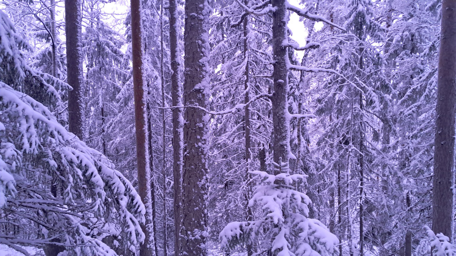 20260107_151932.jpg