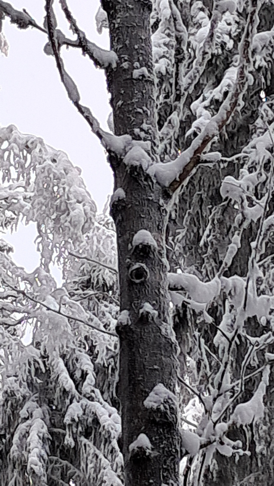 20260212_150333.jpg